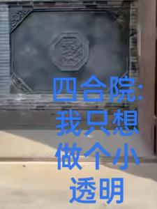 四合院我只想做个小透明