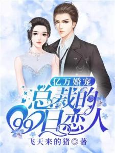 亿万婚宠：总裁的99日恋人