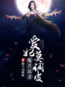 魔君追妻，爱妃莫调皮