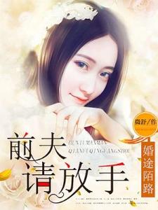 婚途陌路：前夫，请放手