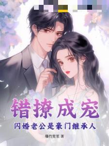 错撩成宠，闪婚老公是豪门继承人