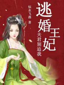 逃婚王妃：夫君别追我