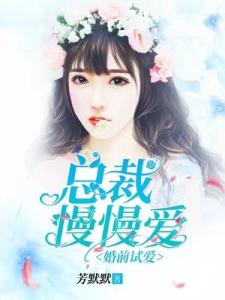 婚前试爱：总裁，慢慢爱